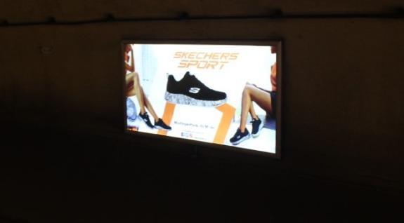 PANO SKECHERS