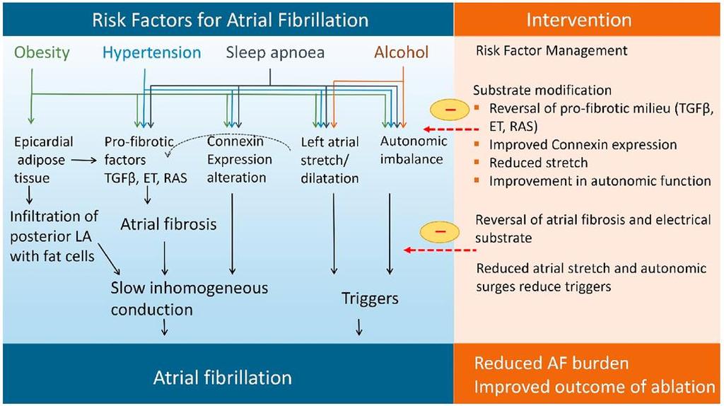 Risk Factor Management and Atrial Fibrillation Clinics: Saving the Best for Last?