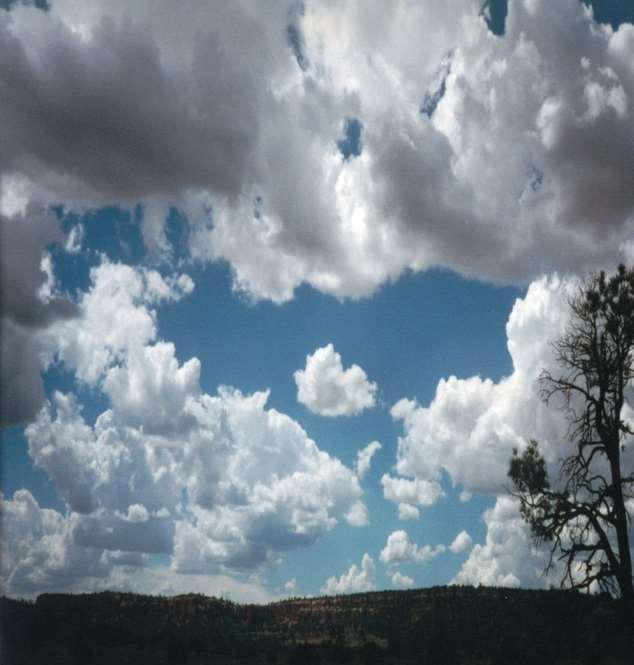 Cumulus bulutları Üst kısımları karnabahar görünümünde olan; küme, kubbe veya kuleler halinde dikine olarak gelişen, genel olarak yoğun durumda bulunan bağımsız bulutlardır.