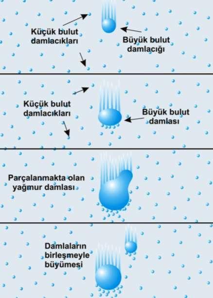 Çarpışma-Birleşme Sıcak bulut gerektiği için süreç sadece tropik bölgelerde görülür.