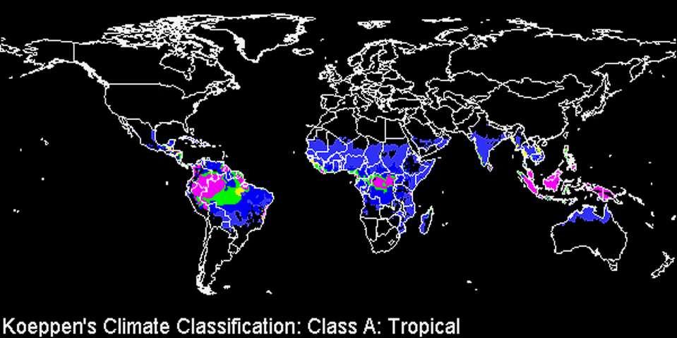 Köppen İklim Sınıflandırması: Sınıf A: Tropik KÖPPEN İklim Sınıflandırması A büyük harfi