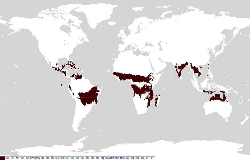 Aw-İklimi Tropikal