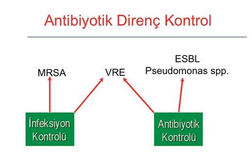 çalışmalar gösterdi.