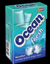 container: 3383 63 Ocean Fresh Yeşil Nane Aromalı Şekerli Draje Sakız Spearmint Flavoured Sugared Dragee Gum