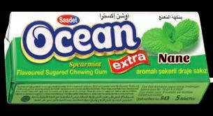 SAKIZ CHEWING GUM Ocean Fresh Tarçın Aromalı Şekerli Draje Sakız Cinnamon Flavoured Sugared Dragee Gum Ürün kodu/ Product