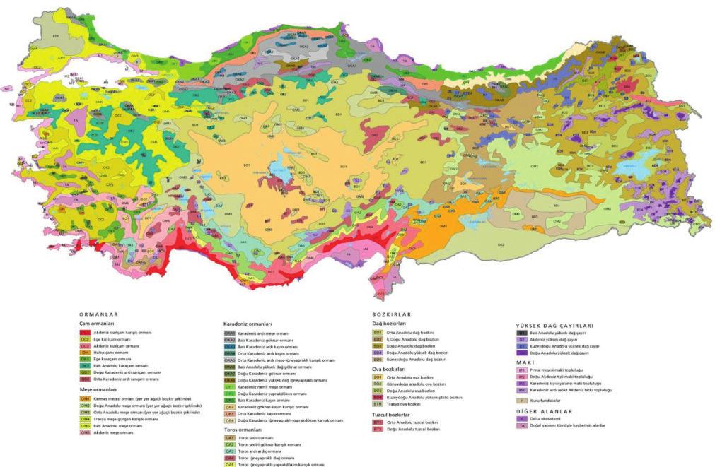 Eskişehir Alpu Termik Santral Projesi Nihai ÇED Raporu Hakkında TMMOB Jeoloji Mühendisleri Odası Görüşü Oysa proje sahasında endemik türler, kitabi düzeyde tanımlanmış ve bu türlerin nasıl