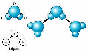 Hidrojen Bağı Her H-F, H-O ya da H-N bağında hidrojen tek elektronunu diğer atomla paylaşır ve bağın bir ucunda hiçbir elektronla çevrelenmeyen çıplak