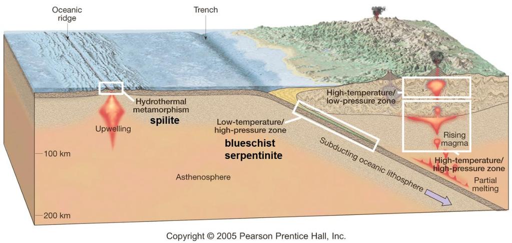 Metamorfizma ve Levha Tektoniği Çoğu metamorfizma yaklaşan plaka sınırlarında oluşur Uzaklaşan levha sınırları: