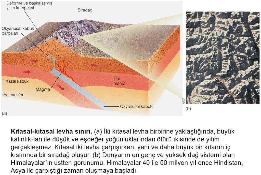 27 Prof. Dr. Kadir Dirik in ders notlarından alıntıdır. 28 c) Yanal yer değiştirme-sıyırma: İki levhanın birbirini sıyırarak yer değiştirmesi sırasında Litosfer de artma veya azalma olmaz.