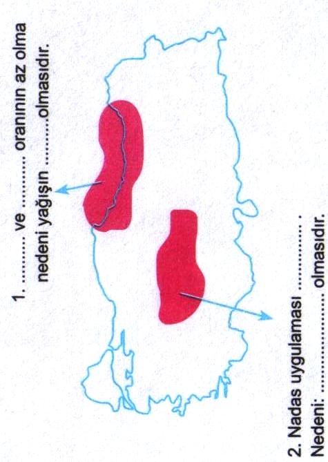 CEVAPLAR: Orojenez, epirojenez, volkanizma deperemler 2. Kıvrılma, kırılma 3. Horst, graben 4. Krater 5. Kaynak, ağız 6. Denge profili 7. Rüzgarlar 8. Falez, Karadeniz ve Akdeniz 9.