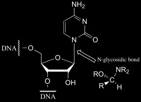 kovalent bağa O-glikozidik bağ denir.