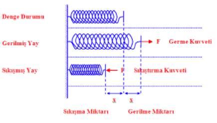 v GERİLME KUVVETİ İp, halat gibi cisimlerin iki ucuna birden veya bir ucu sabitlenerek diğer ucuna ip gerilecek şekilde kuvvet uygulanmasıyla ip üzerinde oluşan bir dağılım kuvvetidir.