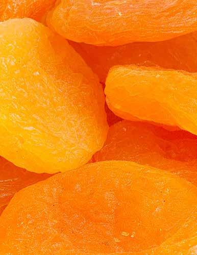 ..... Sun Dried Apricot /