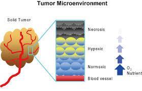 Kanser için tanımlanan bu hipoksi/nekrotik ortam tümörler için yüksek