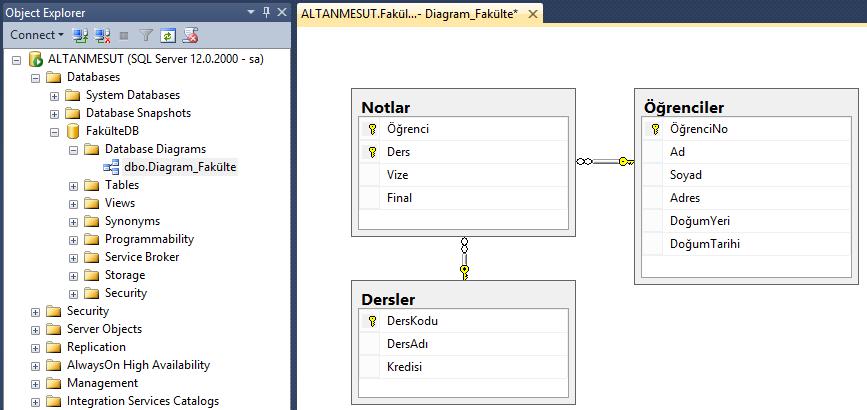 Diagram Diagram nesneleri Access'teki İlişkiler görünümü gibi tablolar arası ilişkilerin gösterildiği bir