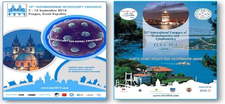 regensburg, Almanya da yapılan Kongre sırasında Multinational Congress of Microscopy organizasyonuna katılan 10 Avrupa derneğinin başkanlarının katılımı ile gerçekleştirilen toplantıya Türk Elektron