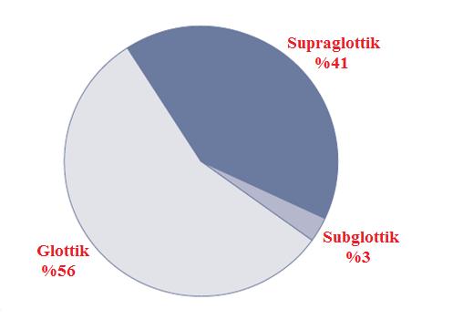 12 Transglottik kanserler: Supraglottik veya subglottik bölgeden glottisi vertikal (dikey) geçerek diğer bir bölgeyi tutan tümörlerdir.