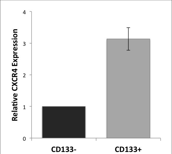 77 ġekil 4-20: CD133+ ve CD133- hücrelerde ortalama CXCR4 ifade düzeyi ġekil 4-21: CXCR4 ve CD133 ifade düzeylerinin