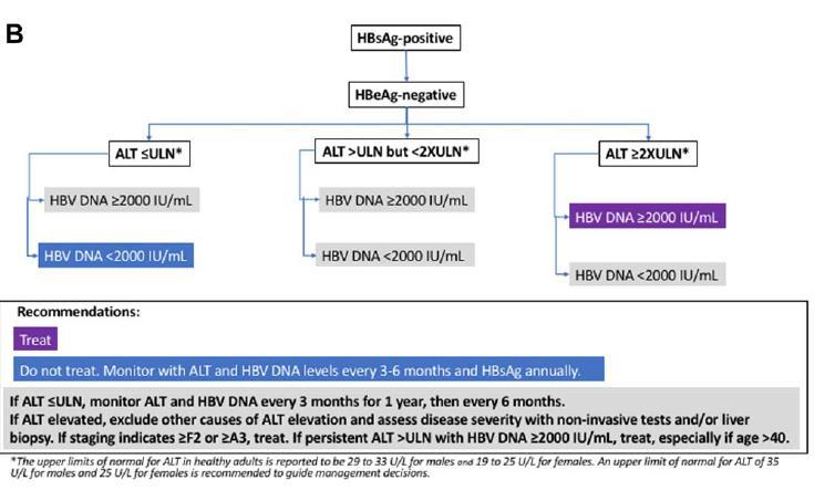 AASLD 2018 Hepatitis B Guidance HBsAg (+), HBeAg (-) HBV-DNA 120