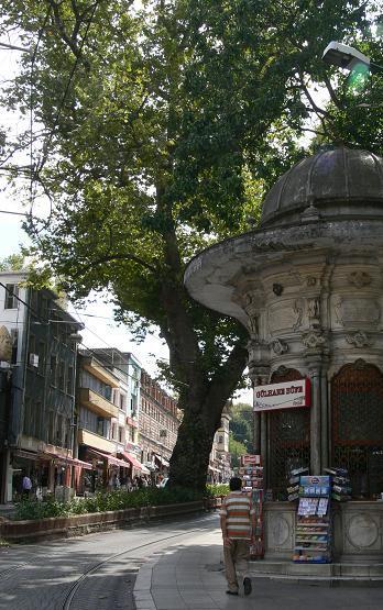 Yer: İstanbul Sultanahmet