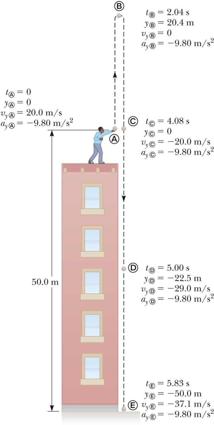 Örnek 2.12: 50 yüksekliğindeki bir binanın tepesinden yukarı doğru düşey olarak 20 m/s lik ilk hızla bir taş atılmıştır.
