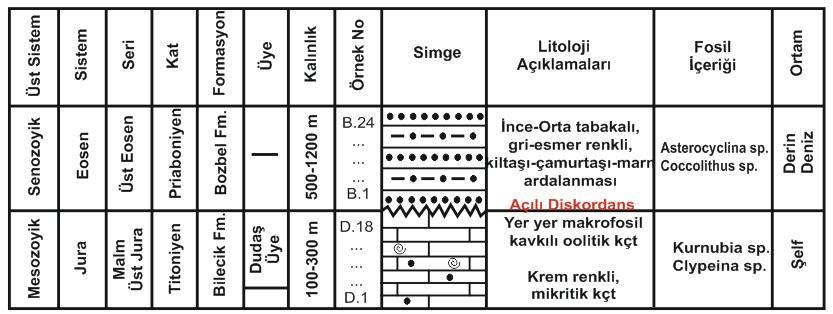 STRATİGRAFİK KARŞILAŞTIRMA (STRATİGRAFİK KORELASYON): - Stratigrafik korelasyonlarda ilk iş jeolojik harita yapmaktır.