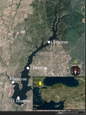 BÖLÜM 3 MATERYAL VE YÖNTEM 3.1. Çalışma Alanının Tanımı: Süloğlu Barajı, Trakya bölgesinde, Edirne ili Süloğlu ilçesinde bulunmaktadır.