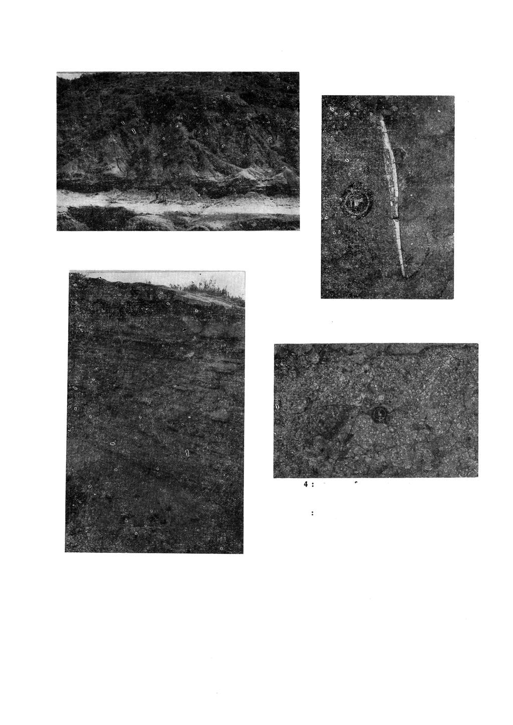 LEVHA : II PLATE : II 1 : Levha I 4'ün üst kesimindeki sigmoidal çapraz katmanlamm. Figure 1 : A sigmoidal cross bedding on the upper part of the plate I figure 4. 2 t Menderesi!