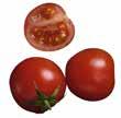 közlenmiş domates, köy biberi 39, 00 Somon Izgara