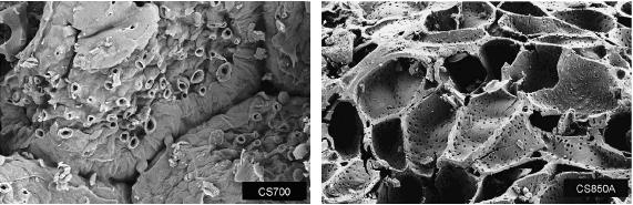34 Şekil 1.16. Hindistan cevizi kabuğu charı (CS700) ve KOH aktivasyonu ile üretilen aktif karbonun (CS850A) yüzey morfolojisi (Mohd Din ve ark. 2009) 1.3.9.1. Hammadde seçimi Aktif karbon üretiminde kullanılan hammaddenin kimyasal bileşimi, üretilen karbonun fiziksel ve kimyasal özellikleri üzerinde güçlü etkiye sahiptir.