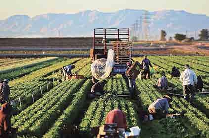 Mevsimlik tarım ve hayvancılık işlerinde çalışma izin muafiyeti (İsteğe bağlı sigorta primi yatırılabilir) Mevsimlik Tarım İşlerinde Çalışma İzni Muafiyeti Nasıl Alınır?