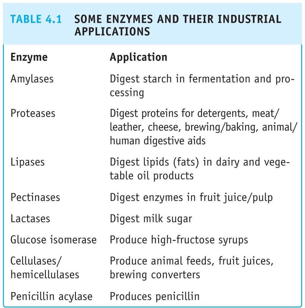 4.1 Biyoteknoloji ürünleri olarak proteinler Enzim Bazı enzimler ve endüstride kullanımları Uygulama Amilaz Proteaz Lipaz Pektinaz Laktaz Glukoz izomeraz Penisilin açilaz fermentasyon sırasında