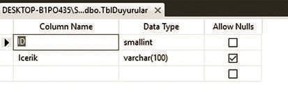 Sınav notları 0-100 arasında birer tam sayıdan oluşacağı için tinyint veri tipini kullandık.