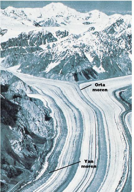 Morenler: Buzul biriktirmesi ile oluşan en yaygın özellik till sırtları olan morenlerdir. Bir vadi buzulunun iki yanında biriken malzemelerden oluşan sırtlara yan morenler adı verilir.