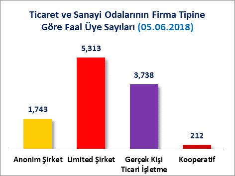 2018 tarihi itibariyle firmaların Bin 743 adedi Anonim şirket, 5 Bin 313 adedi Limited Şirket, 3 Bin 738 adedi gerçek kişi ticari işletme, 212 adedi kooperatif, 51 adedi kolektif şirket, 53 adedi