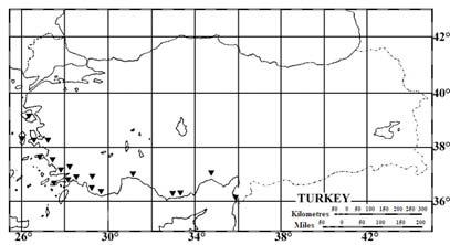 4.1.12 G. acanthoclada DC. (Çizelge 4.13, Şekil 4.15) Polenler radyal simetrik, izopolar, %98 trikolpat ve % 2 tetrakolpat. Polar eksen 19 µm (min:15.6 µm µm-mak:26 µm), ekvatoral eksen 23.