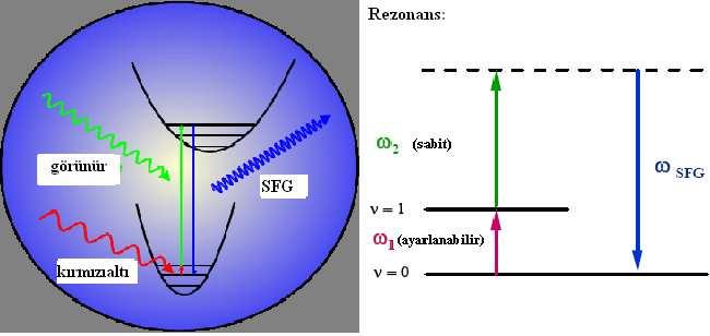Toplam frekans üretimi, ω 1 ve ω 2 frekanslı iki farklı giriş demetinin aynı ortamda karışması sonucunda ω = ω 1 + ω 2 frekansına sahip yeni bir ışınımın yaratıldığı süreçtir. Şekil 4.