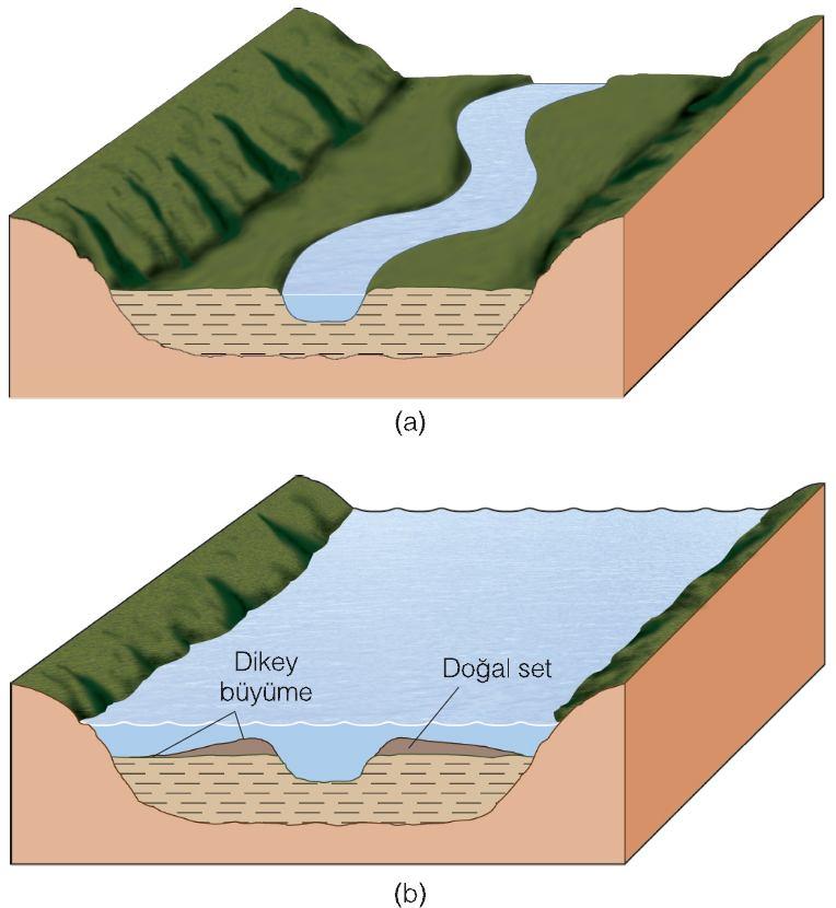 Natural Levee oluşumu Bir ırmak kenarlarından taşıp taşkın oluşturduğunda, taşkın düzlü üne