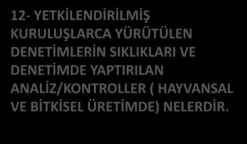DENETİMDE YAPTIRILAN ANALİZ/KONTROLLER