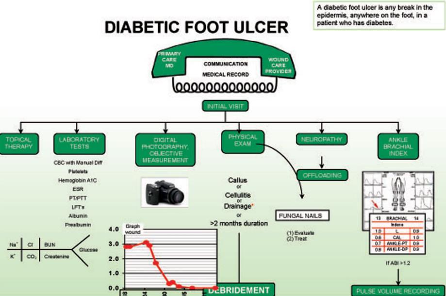 Brem, Harold M.D.; Evidence-Based Protocol for Diabetic Foot Ulcers.