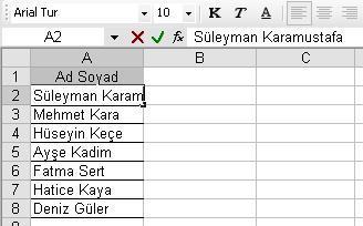 sürüklememiz gerekir. Bu Ģekilde satırları istediğimiz kadar geniģletebiliriz.