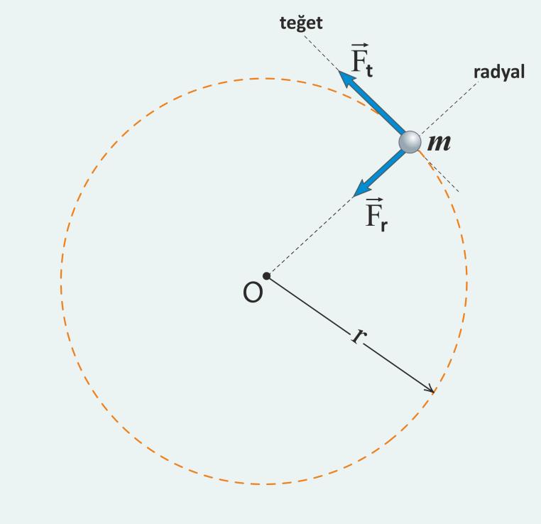 Tork ve Açısal İvme Arasındaki İlişki Şekildeki teğetsel bir F t kuvveti ile merkezcil F r kuvveti etkisinde, r yarıçaplı dairesel bir yörüngede dönen m kütleli bir parçacığı ele alalım.