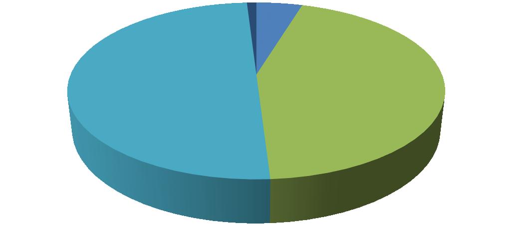FKB ÜYESİ FİNANSAL KİRALAMA ŞİRKETLERİNİN FİNANSAL KİRALAMA İŞLEMLERİNİN SEKTÖRLERE GÖRE DAĞILIMI 2013 YILI DİĞER 1% 2013
