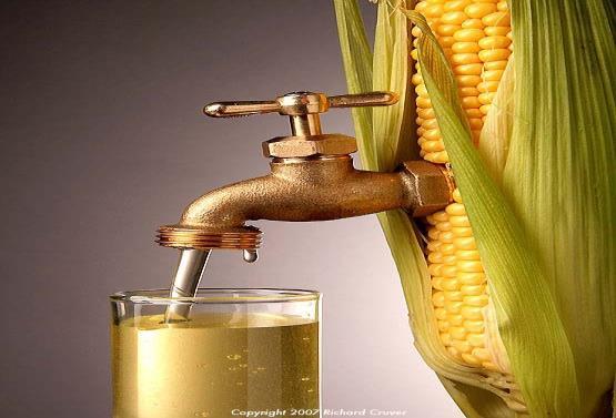 Mısır Dünya üzerinde mısırdan biyoetanol üretimi önemli bir paya sahiptir.