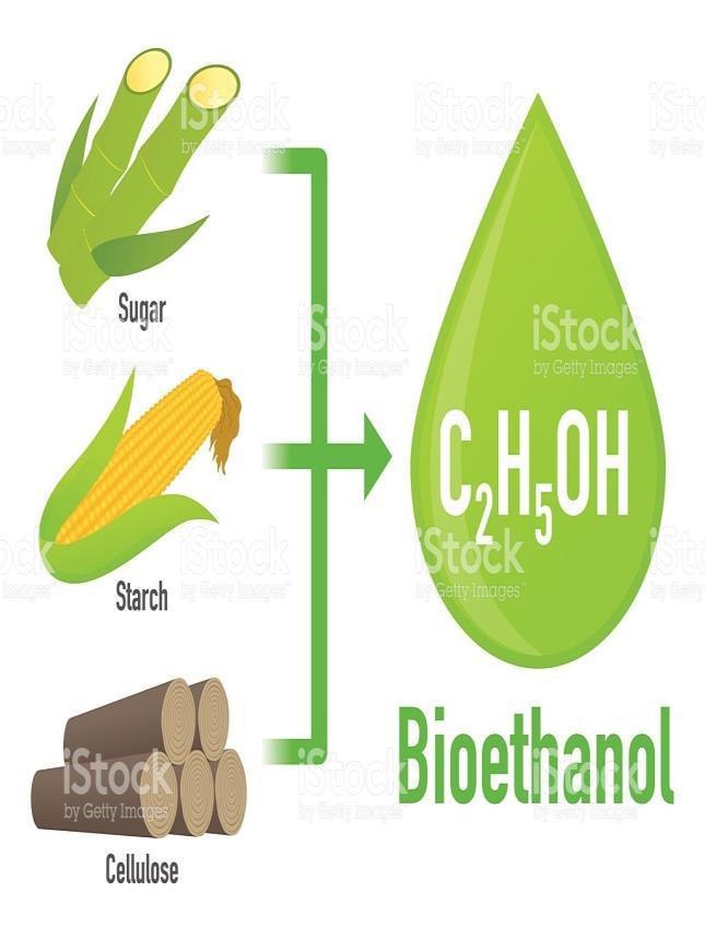 Biyoetanol Teknolojisi Biyoalkol, günümüzde yakıt alkolü olarak en çok kullanılan, fosil olmayan yakıttır.
