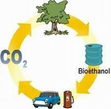 Biyoetanolün Kullanım Alanları Alkollü içkilerde şekerin fermantasyonu sonucu biyoetanol oluşmaktadır.