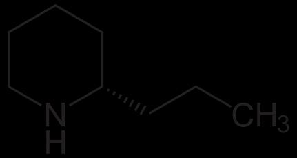 En önemli alkaloidi koniin ve bu alk. ilk sentezlenen alkaloittir (Ladenburg, 1886).