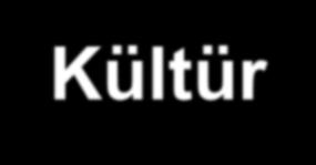 Kültür Mirasını Aktarma Kültür; doğada varolanlar dışında, insanın yaşam, geçim ve düşünce biçemine dayalı olarak ürettiği; ortaya koyduğu; bilgi, beceri,