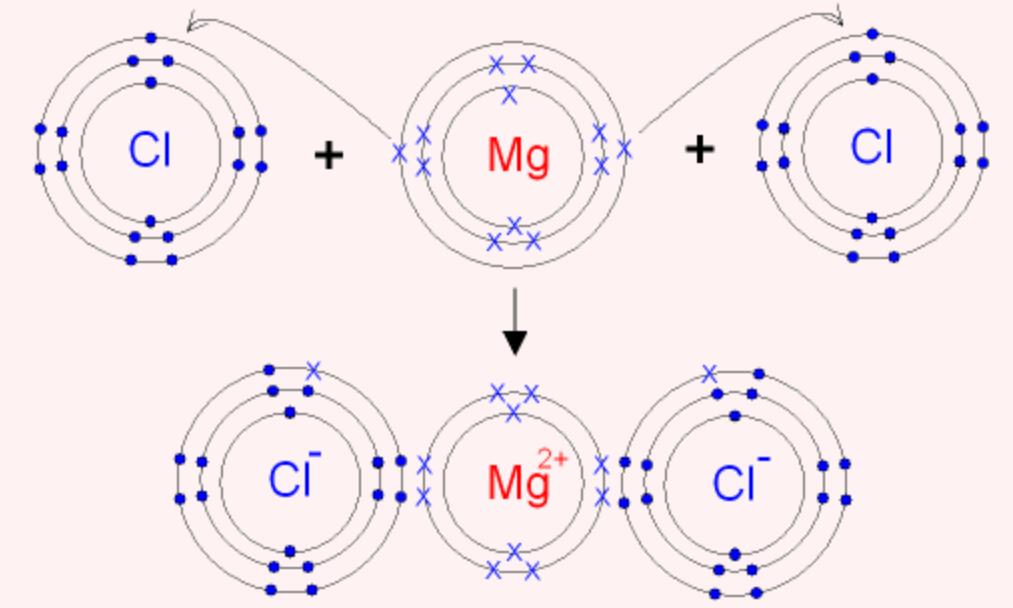 İyonik Bağ 2. Atomsal Yapı ve Atomlararası Bağ1 Örnek: Magnezyum ve klor arsında oluşacak bağı tanımlayınız?