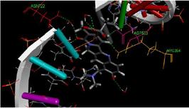 canlandırılabilmektedir. Bu durum, bağlanma tipinin anlaşılması ve proteinleri hedefleyen küçük moleküllü, daha uyumlu ligandların tasarlanması için faydalı olabilmektedir.